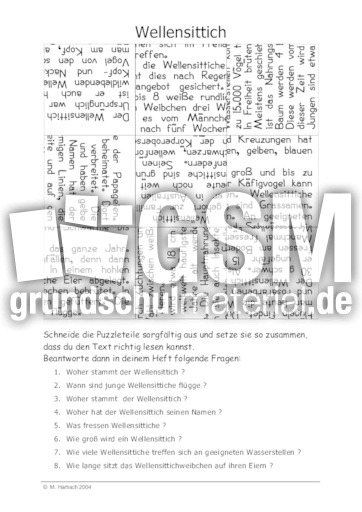 Wellensittich.pdf
